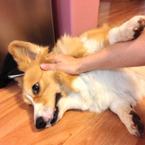 Meet your Posher, Kandyce - Picture 2 of 5